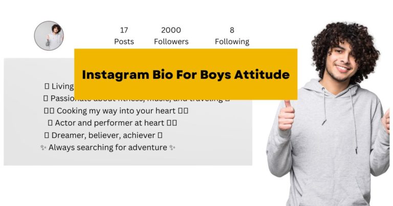 Instagram Bio For Boys Attitude